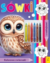 Kolorowanka z kredkami. Kolorowe zwierzaki. Sówki - Opracowanie zbiorowe