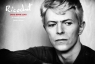 Ricochet David Bowie 1983: An Intimate Portrait O?Regan Denis