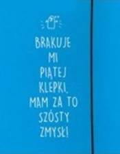 Teczka szkolna A4 Fresh Idea