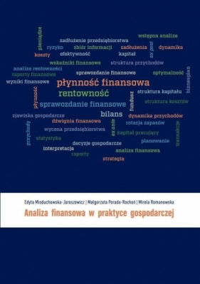 Analiza finansowa w praktyce gospodarczej - Opracowanie zbiorowe