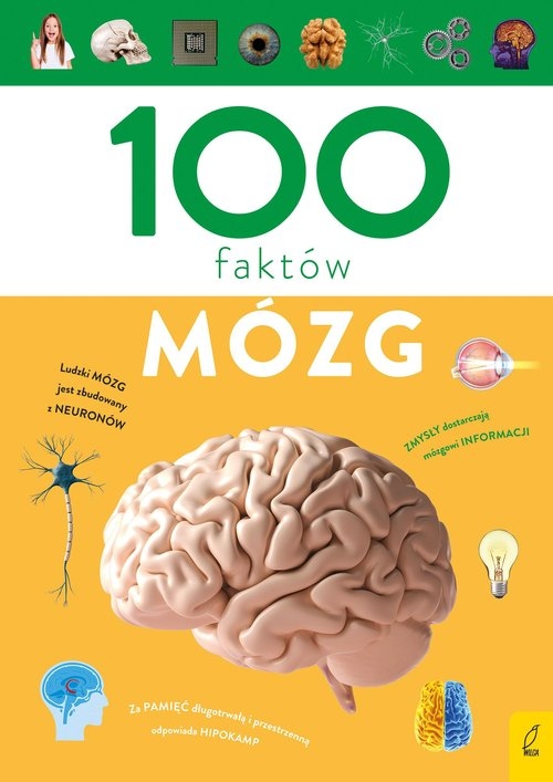 100 faktów Mózg