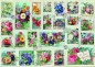 Bluebird Puzzle 2000: Znaczki z kwiatami (70472)