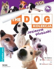 The DOG The Dog