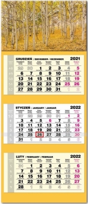 Kalendarz 2022 trójdzielny lux Brzozy