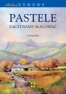 Atelier domowe Pastele Zaczynamy malować  Keal Jenny