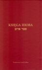 Księga Hioba - Izaak Cylkow