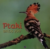 Kalendarz 2017 KD-25 ścienny duży Ptaki