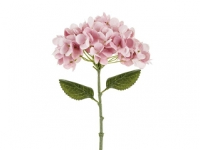 Hortensja różowa 35cm
