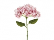 Hortensja różowa 35cm