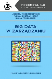 Big data w zarządzaniu - Wieczorkowski Jędrzej, Chomiak-Orsa Iwona, Pawełoszek Ilona