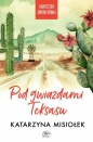 Pod gwiazdami Teksasu. Miasteczko Tarpon Springs. Tom 2 - Katarzyna Misiołek