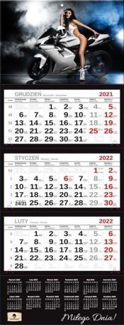 Kalendarz 2022 trójdzielny Premium Dziewczyna