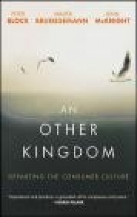 An Other Kingdom Wiley, John McKnight, Walter Brueggemann