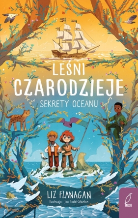 Leśni czarodzieje Sekrety oceanu Tom 3 - Liz Flanagan, Agnieszka Wilga