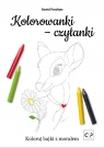 Kolorowanki-czytanki Dawid Przybysz