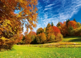Puzzle 2000 elementów Okolice Przełęczy Pieniny (27073)