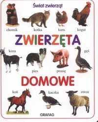 Zwierzęta domowe