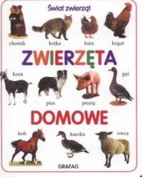 Zwierzęta domowe - <br />