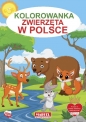 Kolorowanka. Zwierzęta w Polsce - Praca zbiorowa
