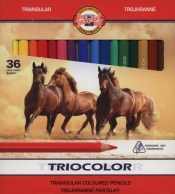 Kredki Triocolor 9mm 36 kolorów