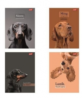 Zeszyt A4/60k kratka - Doggy Moods, 1 szt