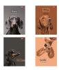 Zeszyt A4/60k kratka - Doggy Moods, 1 szt