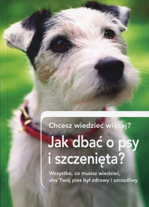 Jak dbać o psy i szczenięta? Chcesz wiedzieć więcej?