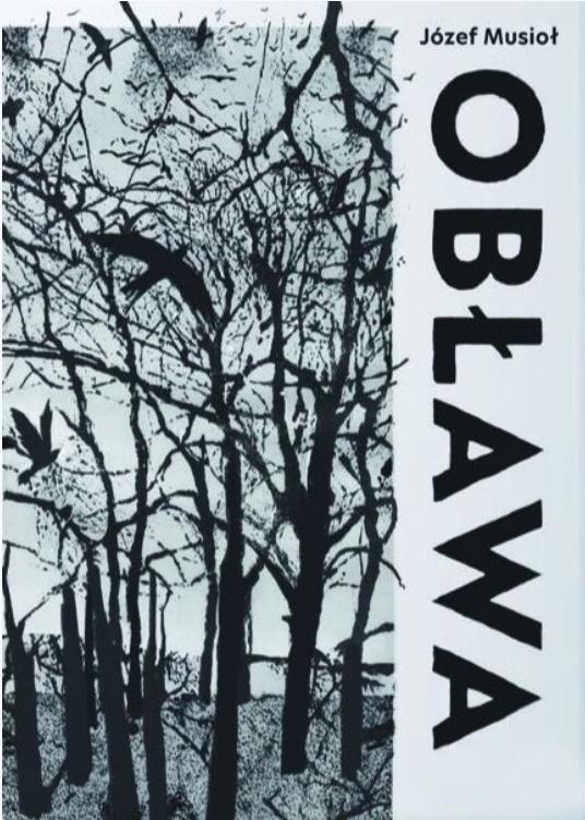 <img src='https://webimage.pl/pics/731/2/d9788381832731.jpg'>