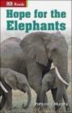 Hope for the Elephants