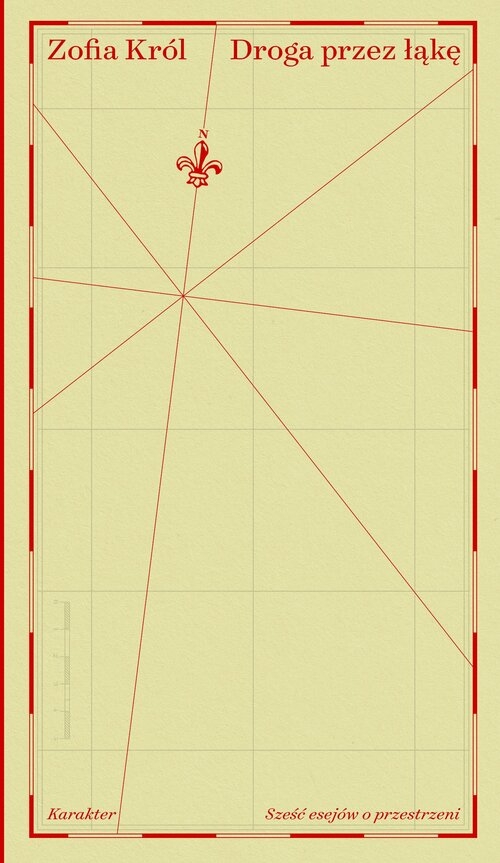 <img src='https://webimage.pl/pics/731/5/d91004B.jpg'>