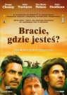 Bracie, gdzie jesteś?