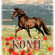 Kalendarz 2026 wieloplanszowy 33x33cm Konie