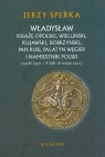Władysław Książe Opolski, Wieluński, Kujawski, Dobrzyński, Pan Rusi, Palatyn Węgier i namiestnik Polski