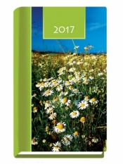 Terminarz 2017 Kolor tygodniowy - stokrotki