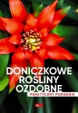 Doniczkowe rośliny ozdobne. Poradnik praktyczny - Opracowanie zbiorowe