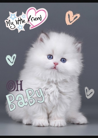 <img src='https://webimage.pl/pics/733/0/d5903031310733.jpg'>