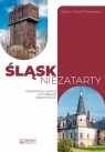 Śląsk niezatarty Krajobrazowy reportaż po miejscach zapomnianych Beata Pomykalska, Paweł Pomykalski