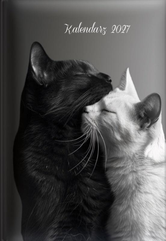 <img src='https://webimage.pl/pics/733/2/d5906408002002.jpg'>