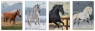 Zeszyt A5/32k kolorowa trzylinia UV - Wild Horses, 1 szt.