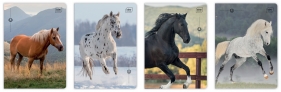 Zeszyt A5/32k kolorowa trzylinia UV - Wild Horses, 1 szt.