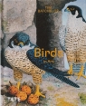 Birds in Art Batchelor Tim