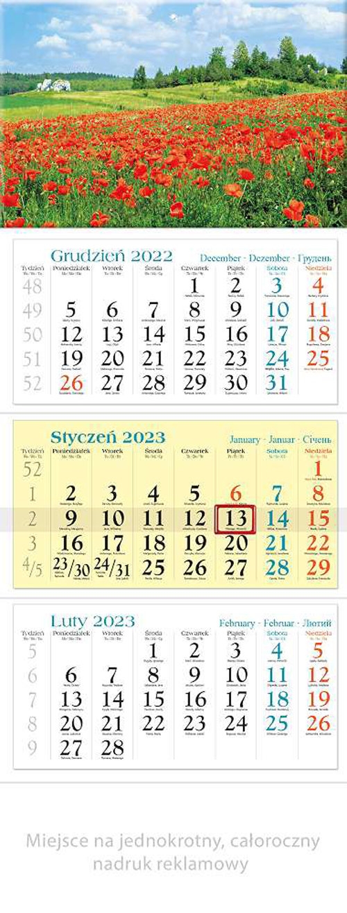 Kalendarz 2023 trójdzielny Maki