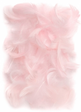 Piórka 5-12 cm, 10 g pink (różówe) (CEPI-018) - CEPI-018