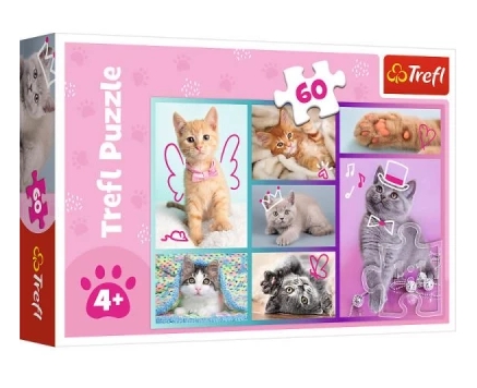 Puzzle 60: Słodkie kociaki