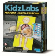 KidzLabs: Anatomia - klatka piersiowa (3373)