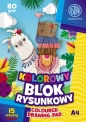 Blok kolorowy barwiony A4/15K 80g, 10szt