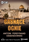 Gasnące ognie (audiobook) Ossendowski Antoni Ferdynand