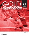 Gold Experience 3rd. B1 Preliminary for Schools WB Opracowanie zbiorowe