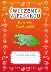 Ćwiczenia w pisaniu Kaligrafia Język polski - Beata Guzowska
