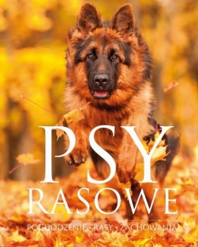 Psy rasowe Pochodzenie Rasy Zachowania - Przeczek Izabela